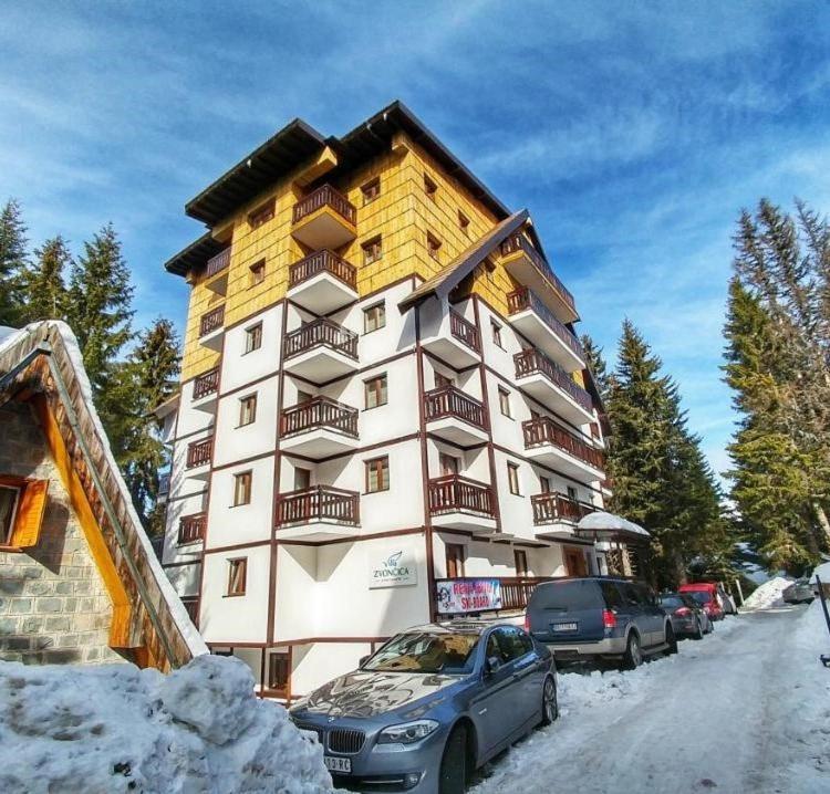 Zvoncica Z12 Kopaonik