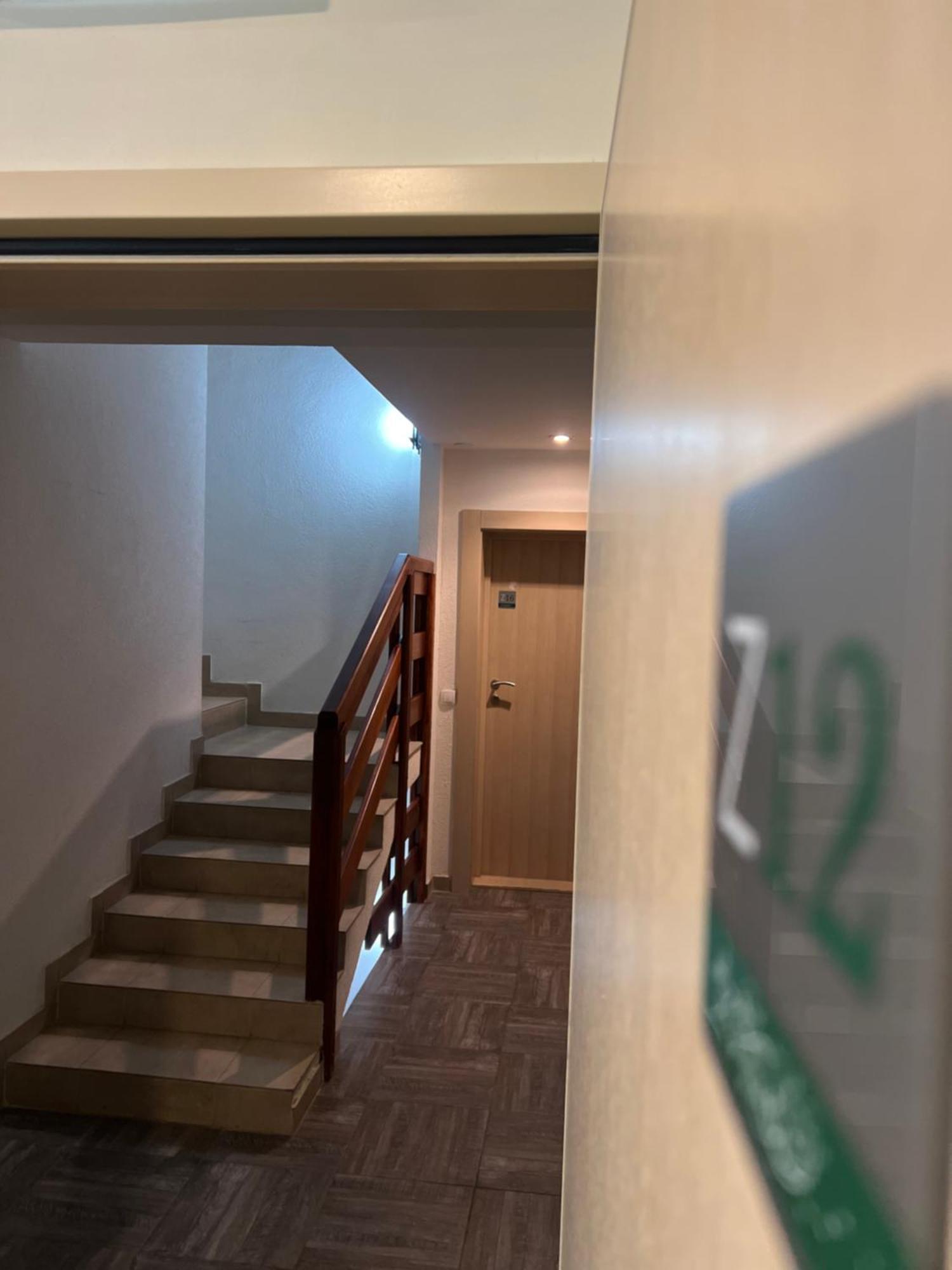 Zvoncica Z12 Apartment