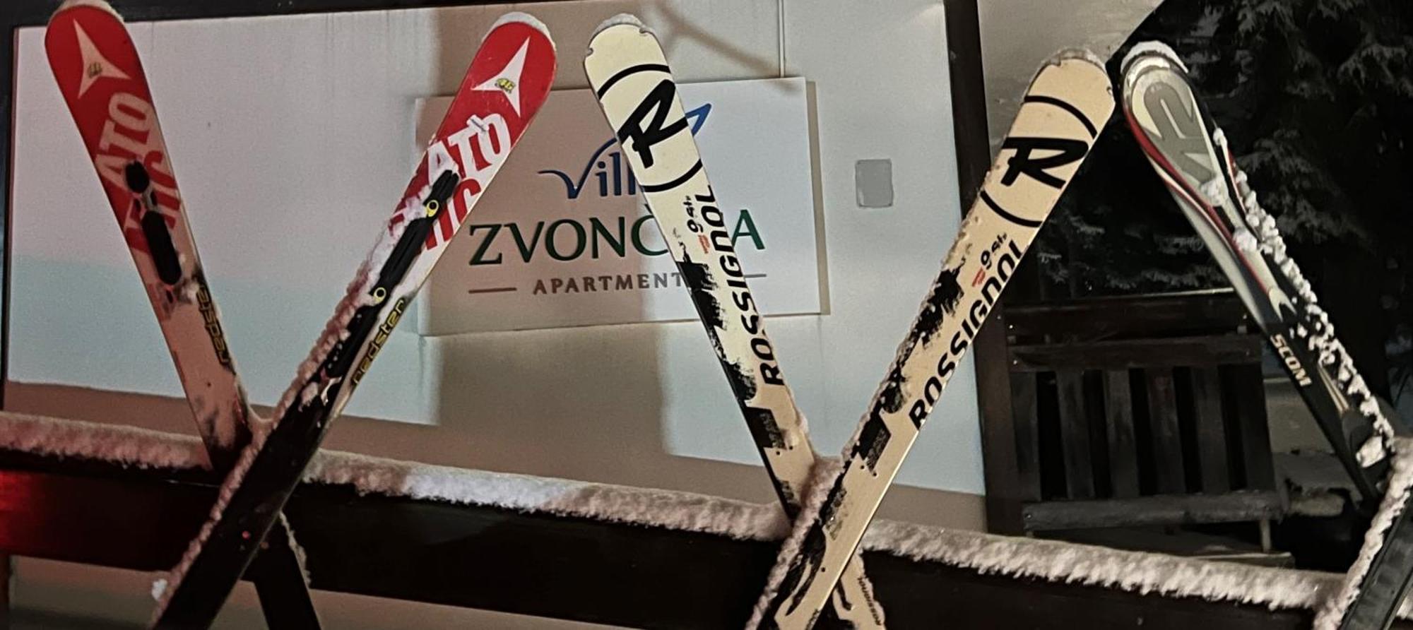 Zvoncica Z12